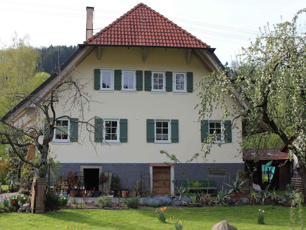 Steinach  Haus Am Bach 아파트 외부 사진