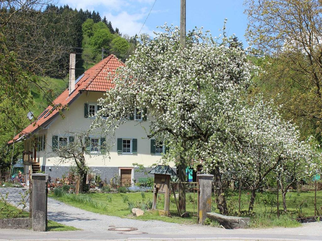 Steinach  Haus Am Bach 아파트 외부 사진